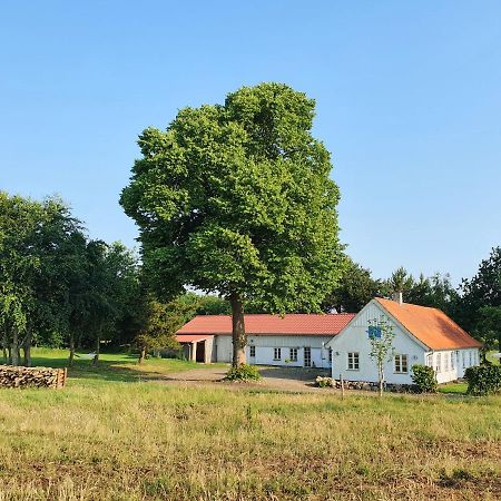Slotsgaardens Feriegard. Daire Jels Dış mekan fotoğraf