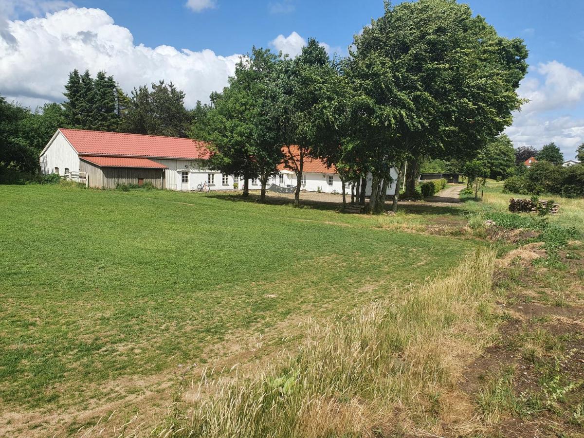 Slotsgaardens Feriegard. Daire Jels Dış mekan fotoğraf